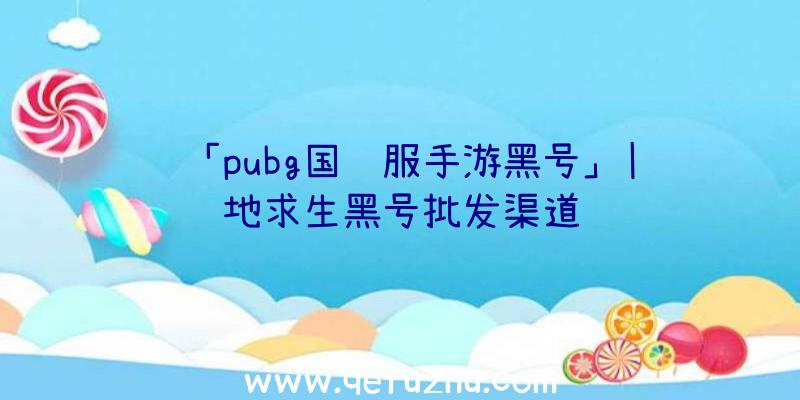 「pubg国际服手游黑号」|绝地求生黑号批发渠道